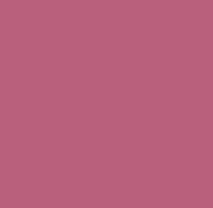webassets/Puce03.JPG